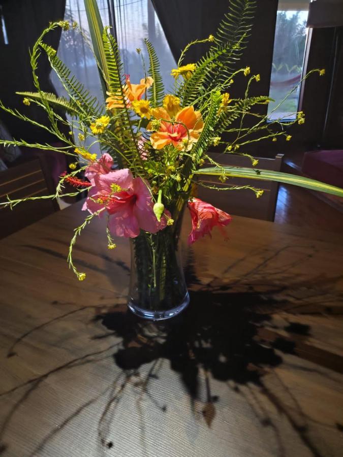 Maori Tea Rapa Nui Stunning Maori Easter Island With Ocean View Hanga Roa