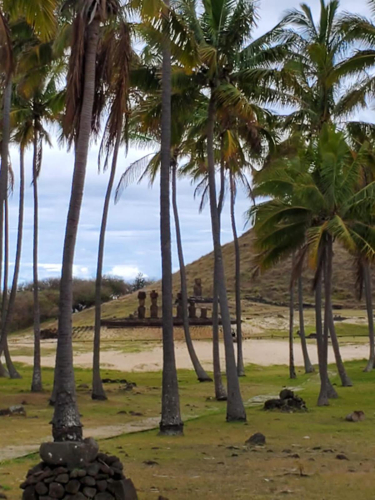 Maori Tea Rapa Nui Stunning Maori Easter Island With Ocean View Pousada